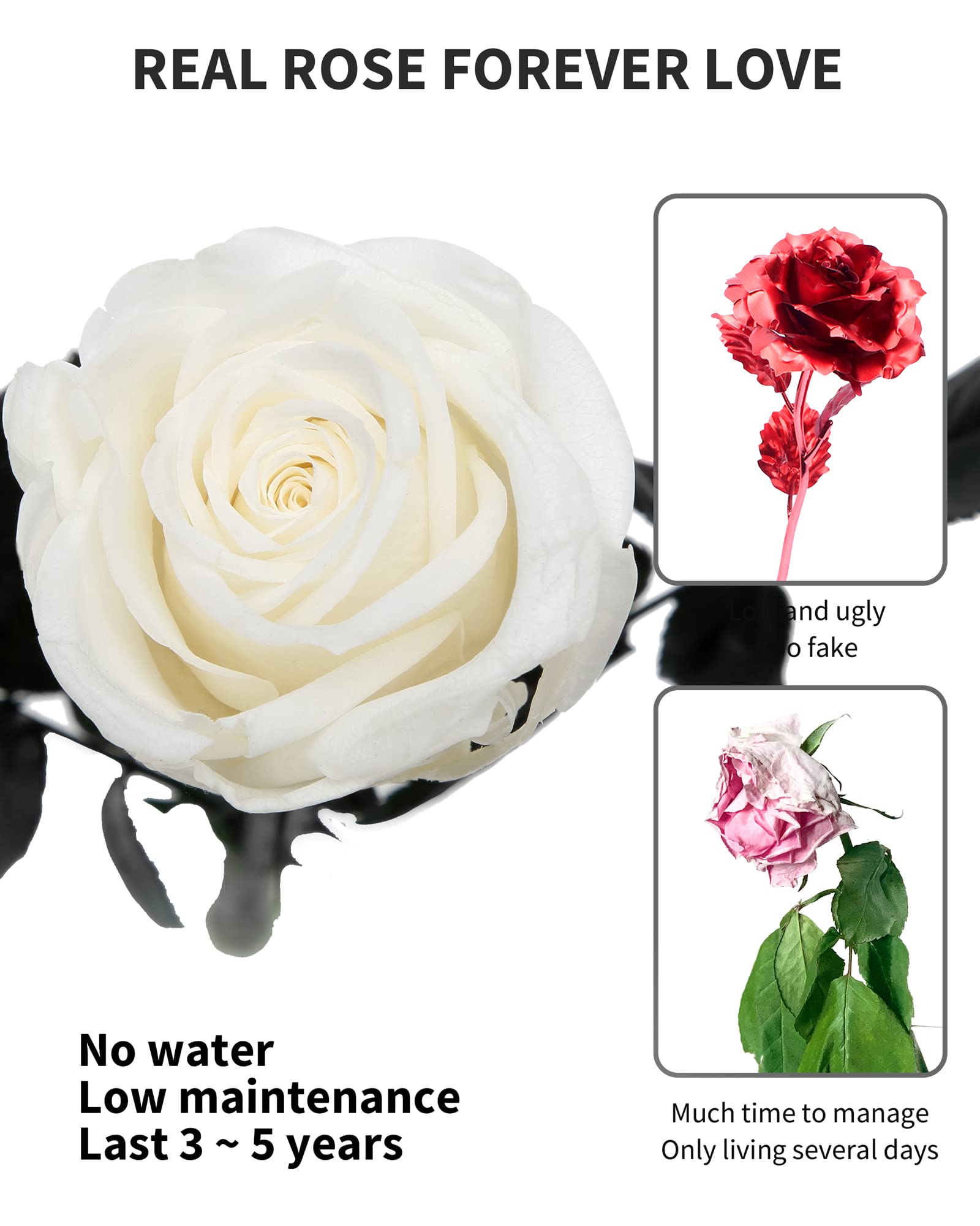 Flowers for Delivery Prime, Preserved Roses Flower Gifts for Women, Real Roses Single Rose Presents for Her, Mom Birthday Gifts from Daughter, Valentines Flowers Red Roses