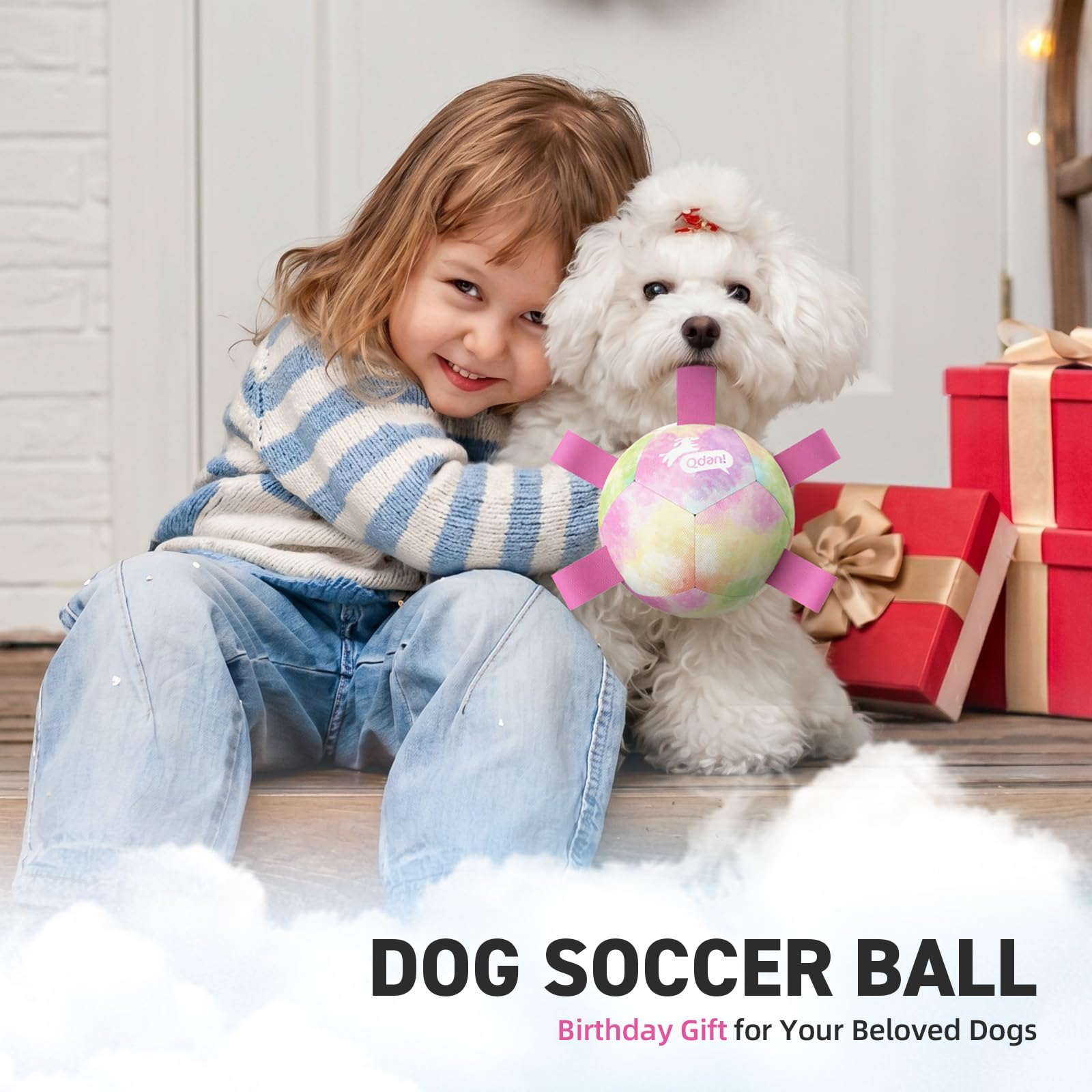 QDAN Dog Toys Soccer Ball with Straps, Durable Dog Balls for Tug of War, Puppy Birthday Gifts, Dogs Water Toy Small Dogs-Rainbow（5 Inch）