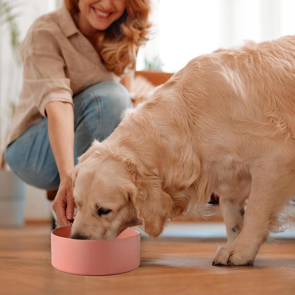 6'' Ceramic Raised Dog Bowl - 30Oz Dog Food & Water Bowl with Elevated Non-Slip Bamboo Stand, Dishwasher & Microwave Safe, Anti Vomiting Heavy Duty Pet Bowl for Small and Medium Dogs, Black