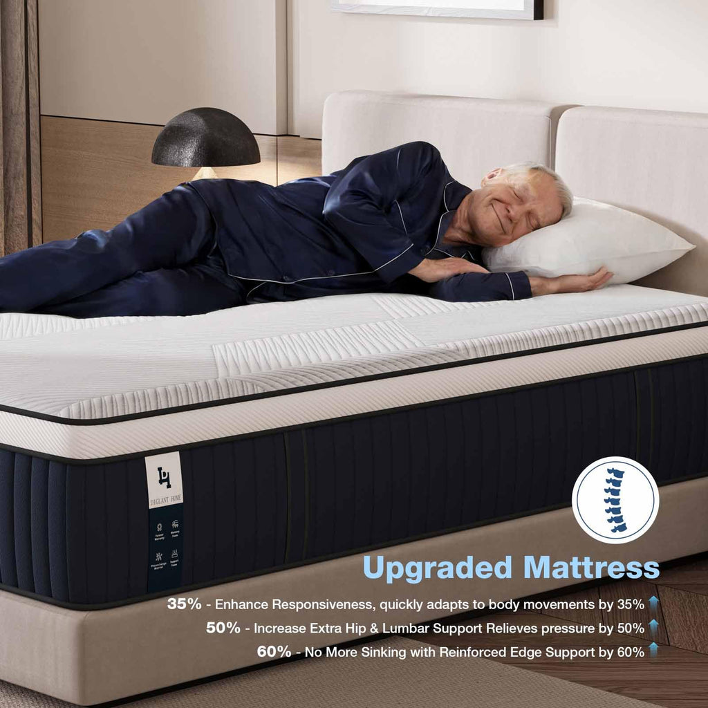 Queen Mattress, DIGLANT 14Inch Euro Top Memory Foam Hybrid Mattress, Medium Plush Feel Pocket Springs Queen Size Mattress for Pressure Relief, Edge Support Mattress in Box, CertiPUR-US, 60"*80"