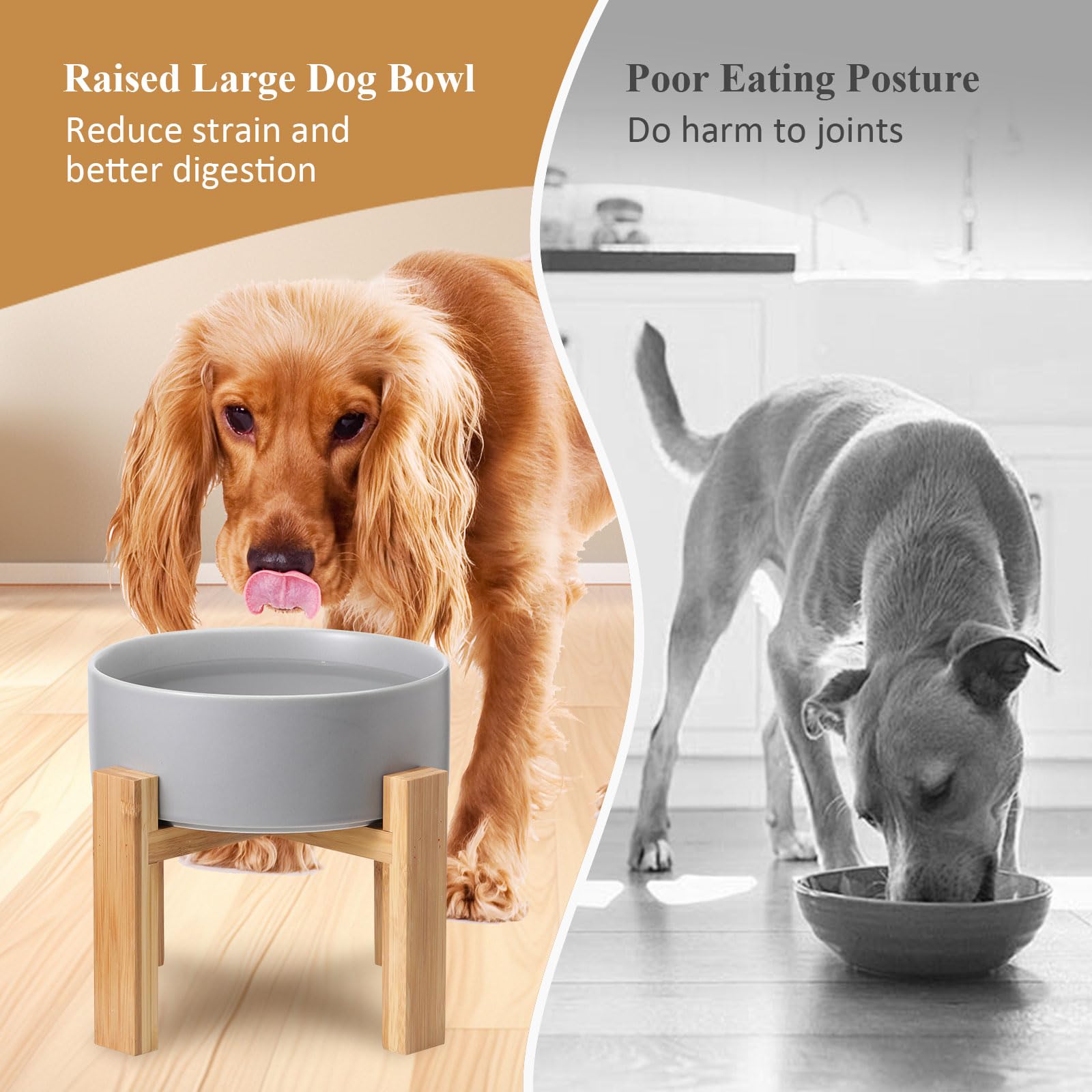 Raised Ceramic Cat Bowl - Cat Food Bowl with Bamboo Stand - Elevated Dog Food Dish for Puppies - Comfort Eating - 13.5 oz - 400 ml - Green