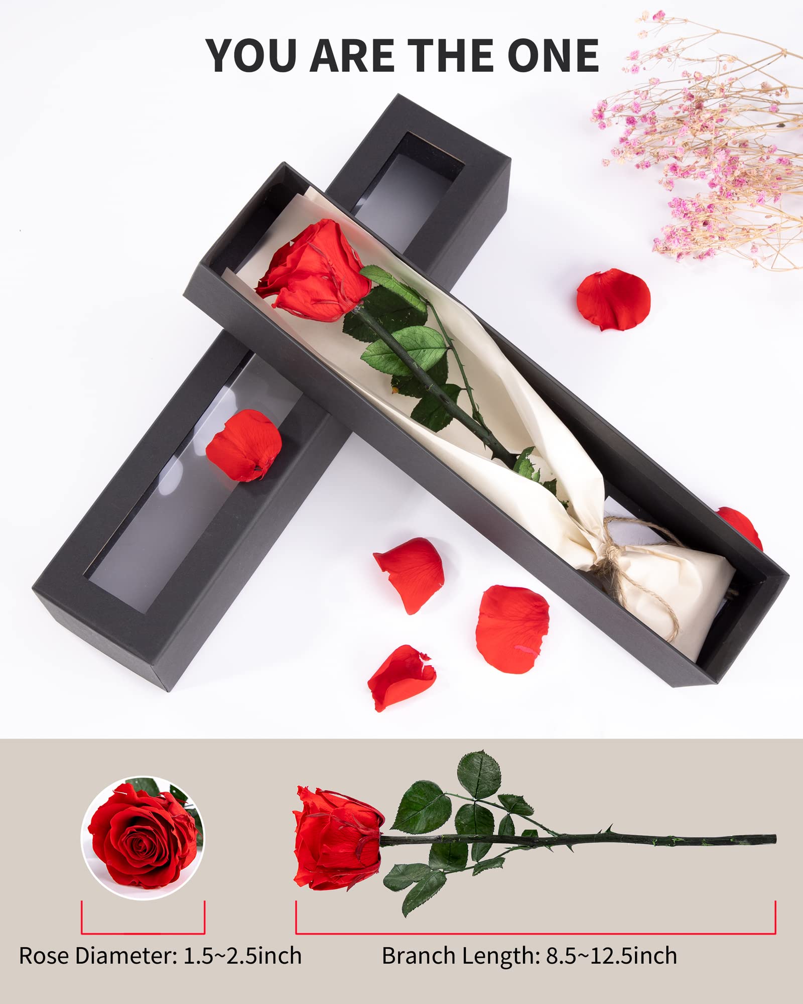 Flowers for Delivery Prime, Preserved Roses Flower Gifts for Women, Real Roses Single Rose Presents for Her, Mom Birthday Gifts from Daughter, Valentines Flowers Red Roses