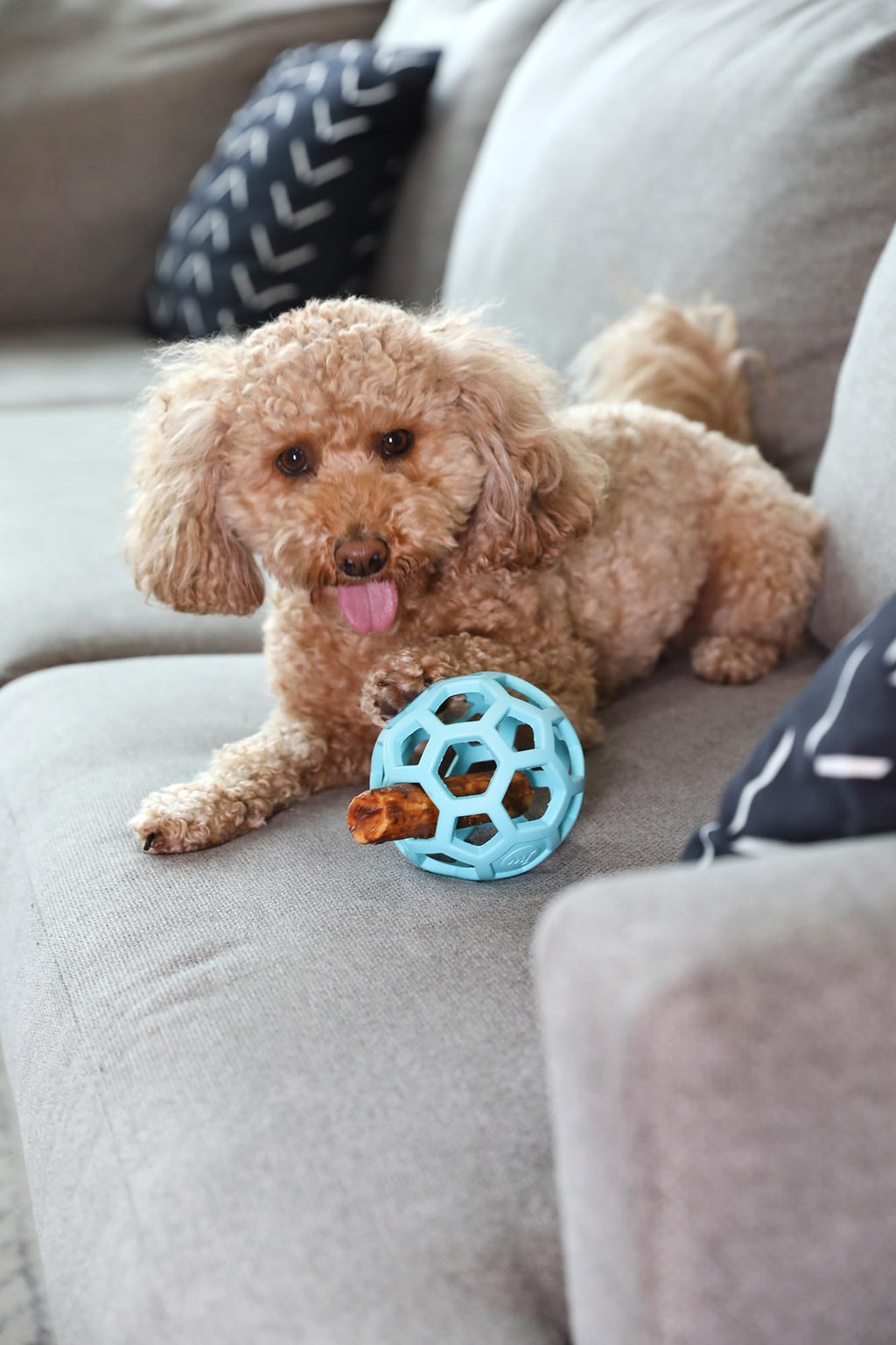 JW Pet HOL-ee Roller™, Dog Toy Puzzle Ball, Natural Rubber, Small (3 Inch Diameter), Blue