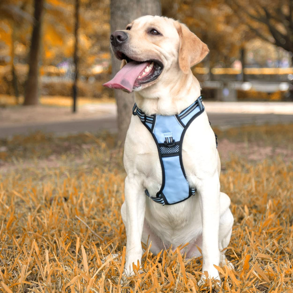PoyPet Dog Harness No Pull, Reflective Vest Harness with Front & Back 2 Clips and Easy Control Handle for Small Medium Large Dog (XS, Black)
