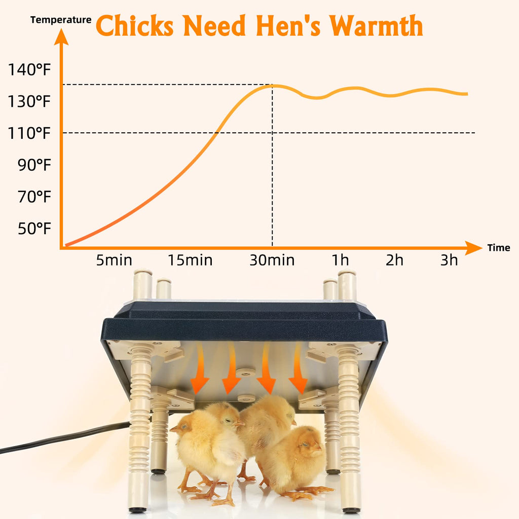 Brooder Heater for Chicks: Chick Brooder Heating Plate with Easy- Cleaning Plate Poultry Coop Heater Chicks Warmer 10" x 10" for 15 Chicks Adjustable Height Brooding Heater 15 Watts