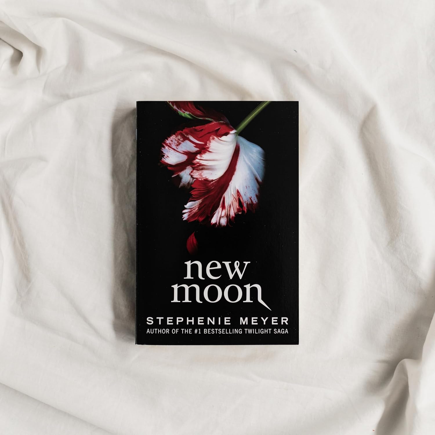 New Moon (The Twilight Saga, 2)