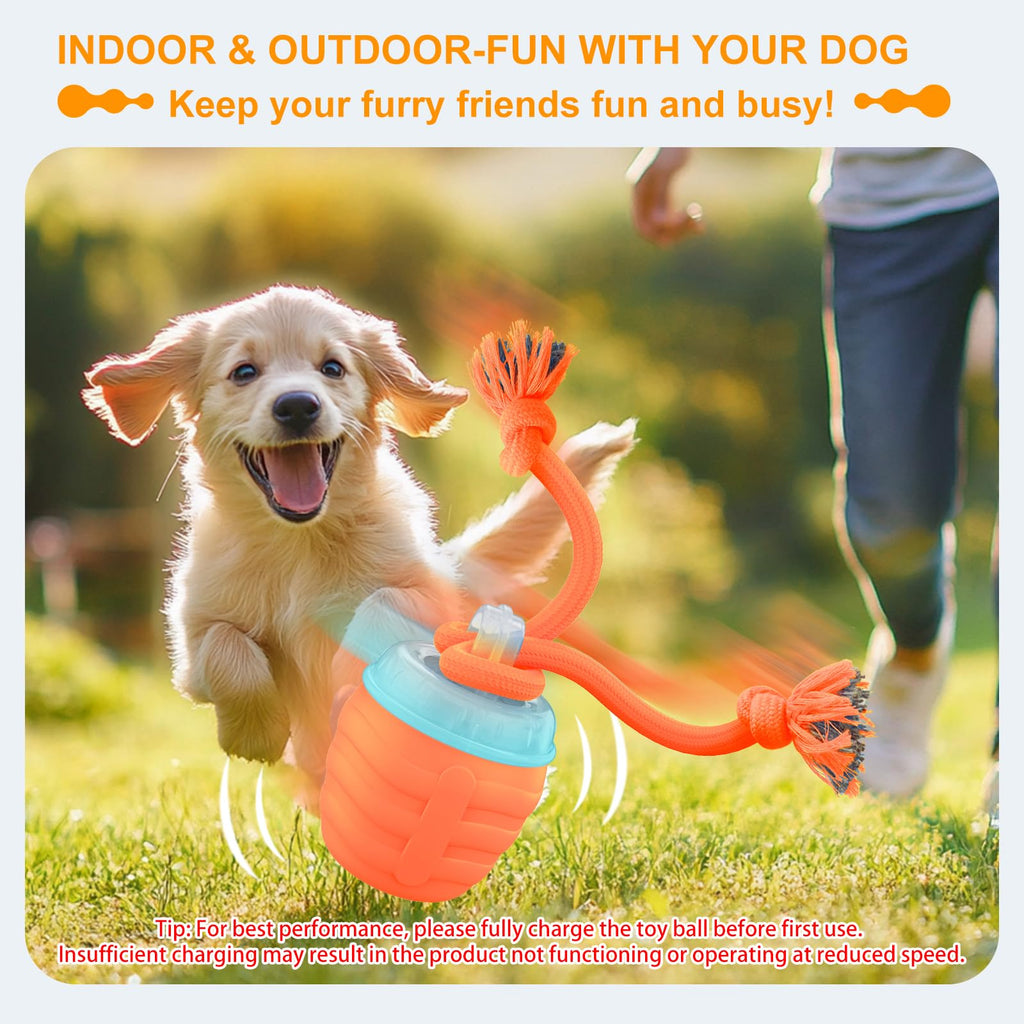 Interactive Dog Toy, [Newly Upgraded] Motion Activated Rolling Squeaky Ball for Medium/Large Dogs, Automatic Moving Dogs Ball for Boredom, USB Rechargeable(Cyan)