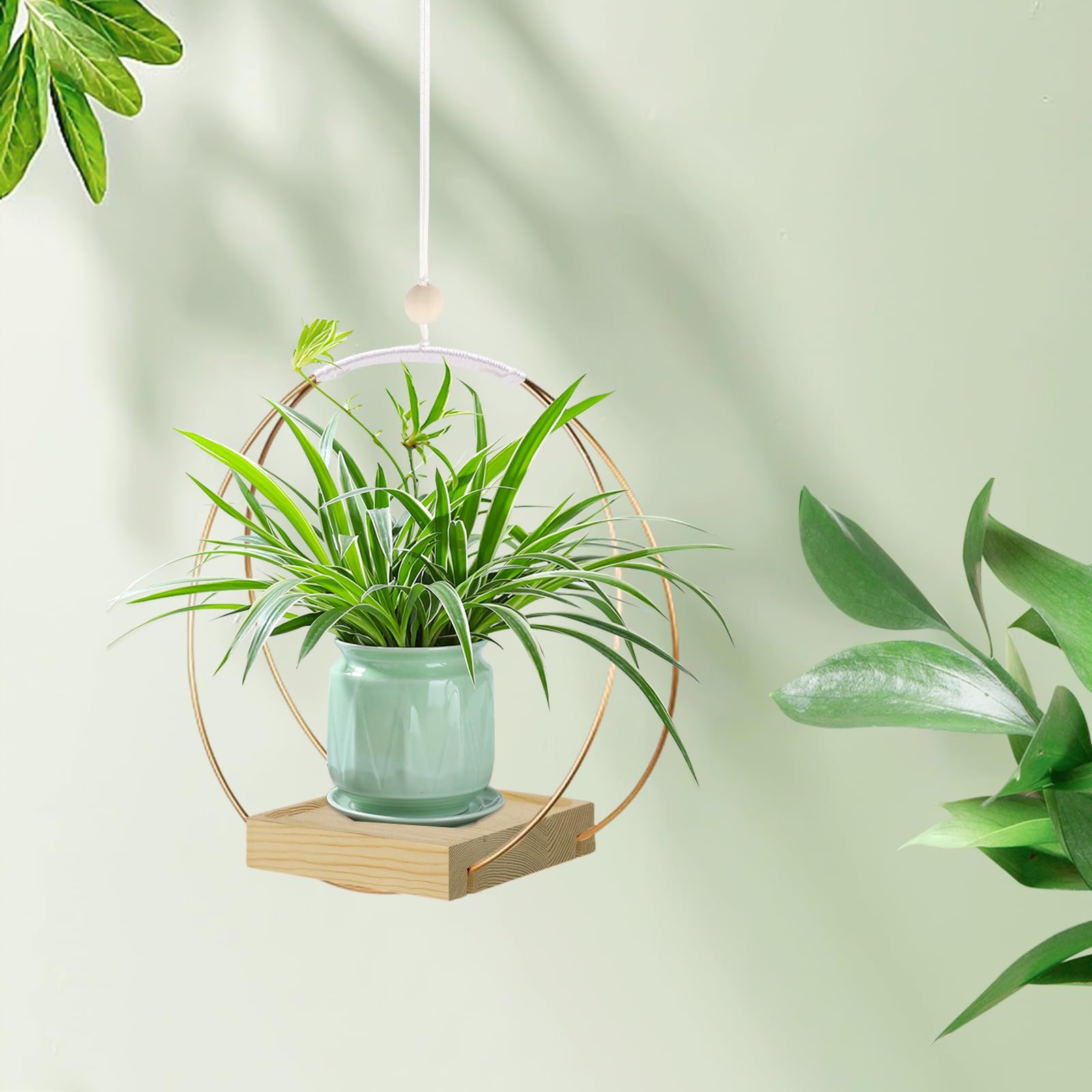 Hanging Planter for Indoor Plants, Black Plant Hanger Indoor with Sturdy Wood Base, Modern Boho Macrame Plant Hanger for 3-5.5 Inch Pot, Hanging Wall Ceiling Window Home Decor (Pots Not Included)