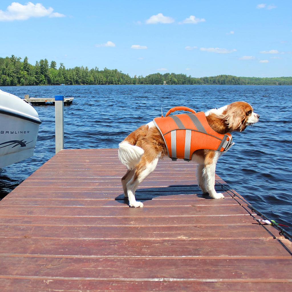Kuoser Dog Life Jacket with Reflective Stripes, Dog Life Vest for Swimming Boating, Adjustable Pet Lifejackets with High Flotation, Doggie Swimsuit for Small Medium Large Dogs