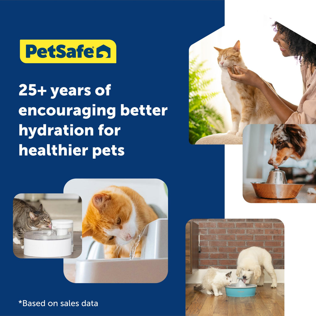 PetSafe Oasys 1 Gallon (128 Ounce) Pet Fountain - Cat or Small to Medium Breed Dog Water Fountain - Dishwasher Safe Filtered Water Dispenser with Flow Control - Filters Included - Easy to Clean