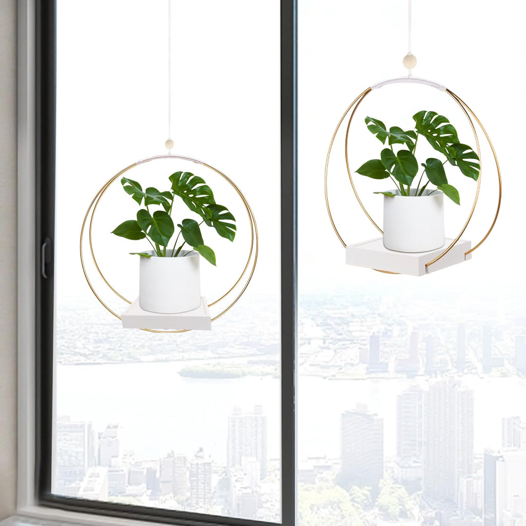 Hanging Planter for Indoor Plants, Black Plant Hanger Indoor with Sturdy Wood Base, Modern Boho Macrame Plant Hanger for 3-5.5 Inch Pot, Hanging Wall Ceiling Window Home Decor (Pots Not Included)