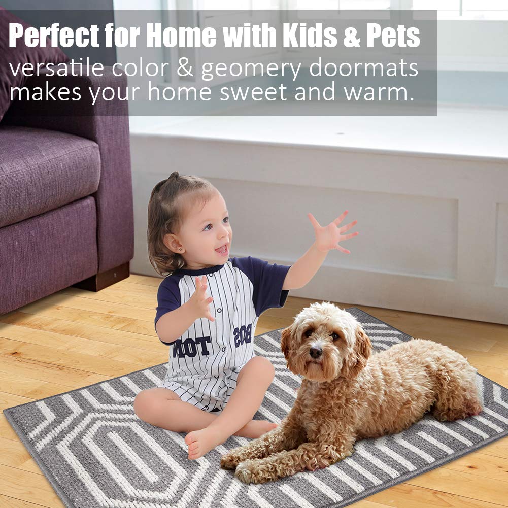 Indoor Doormat 24"x 36", Absorbent Front Back Door Mat Floor Mats, Rubber Backing Non Slip Door Mats Inside Mud Dirt Trapper Entrance Door Rug Carpet, Machine Washable Low Profile-Brown Time Cloister