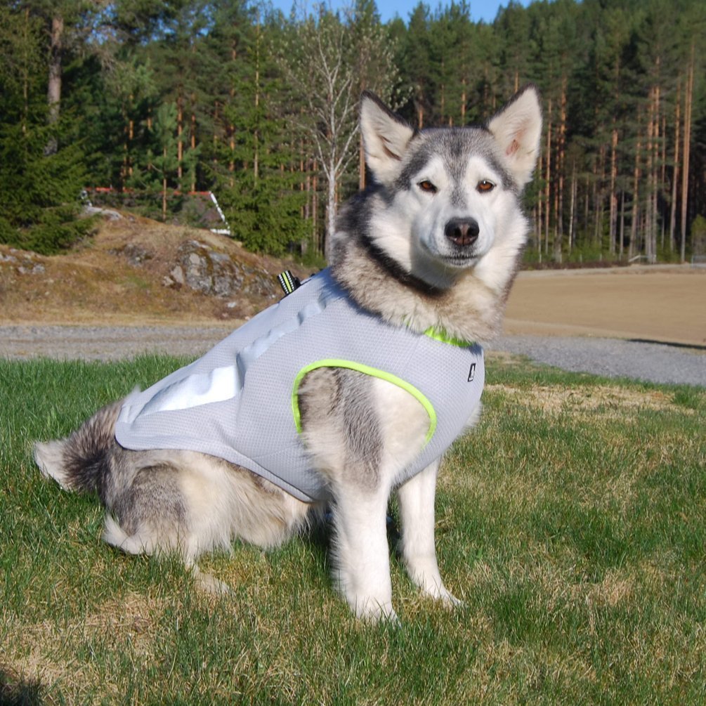 SGODA Dog Cooling Vest Harness Cooler Jacket Yellow XX-Small