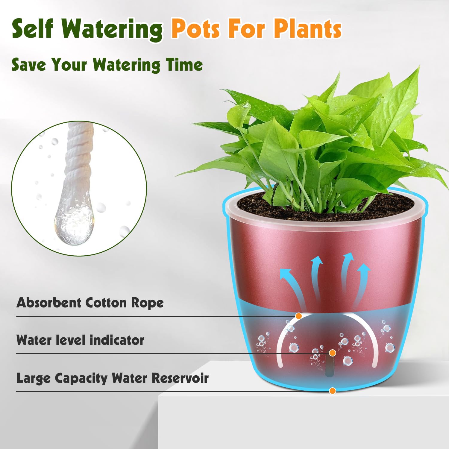Self-Watering Pots for Indoor Plants, 16-Pack Self Watering Planter with Drainage Holes, Small African Violet Pots with Water Indicator, 10-Pack 5''/6-Pack 6.7'' Orchid Pot, Black