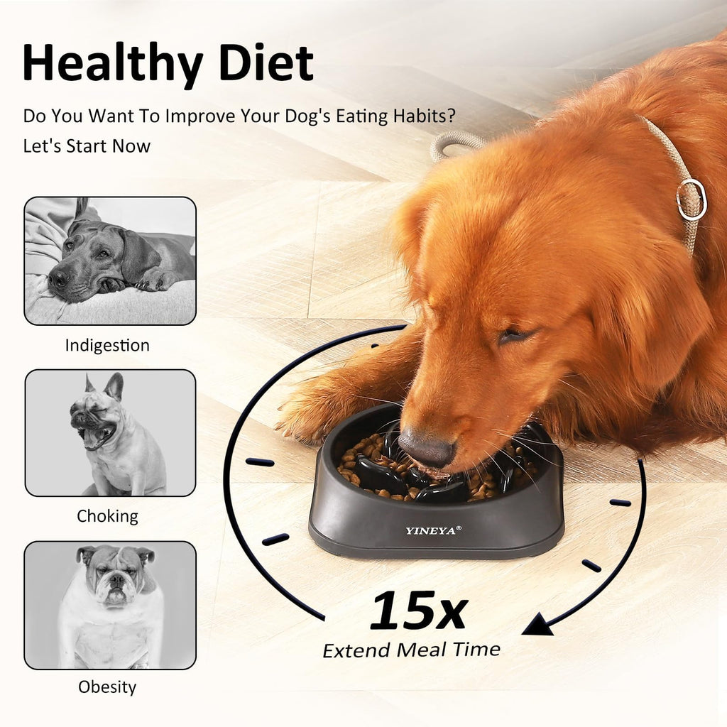 YINEYA 2PCS Anti-Choking Slow Feeder Dog Bowls Small Size Dog, Slow Feeder Cat Bowl, Supplies and Puzzle for Pet