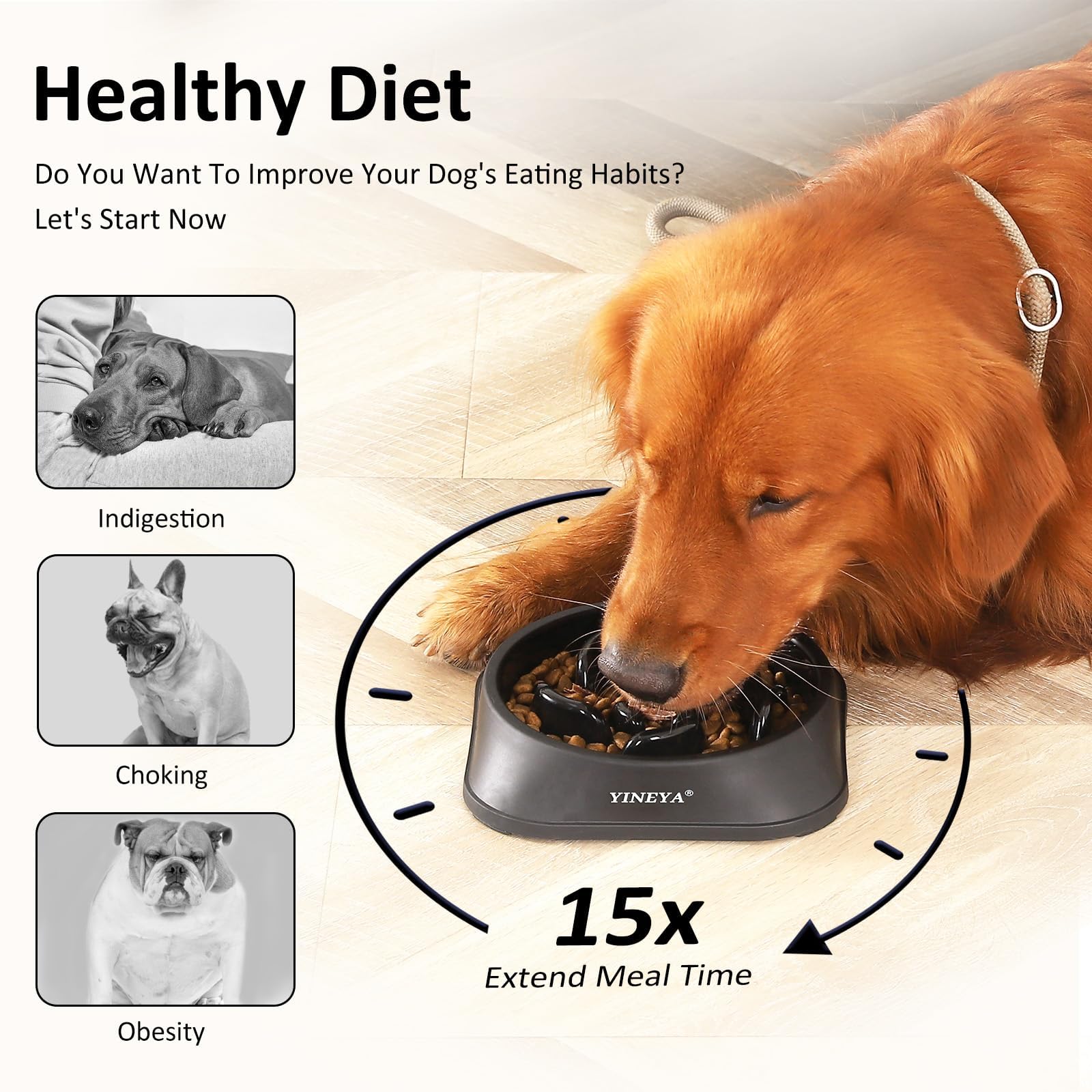 YINEYA 2PCS Anti-Choking Slow Feeder Dog Bowls Small Size Dog, Slow Feeder Cat Bowl, Supplies and Puzzle for Pet