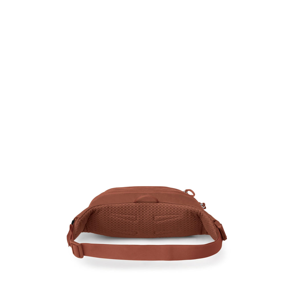 Osprey Daylite Waist Pack - Fanny Pack with Crossbody Shoulder Carry Option - Lightweight Hip Bag