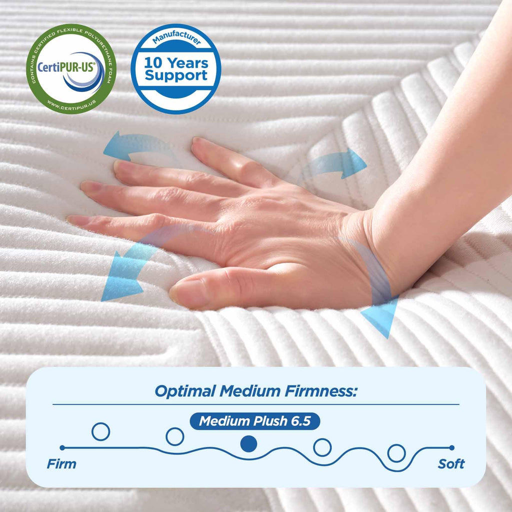 Queen Mattress, DIGLANT 14Inch Euro Top Memory Foam Hybrid Mattress, Medium Plush Feel Pocket Springs Queen Size Mattress for Pressure Relief, Edge Support Mattress in Box, CertiPUR-US, 60"*80"