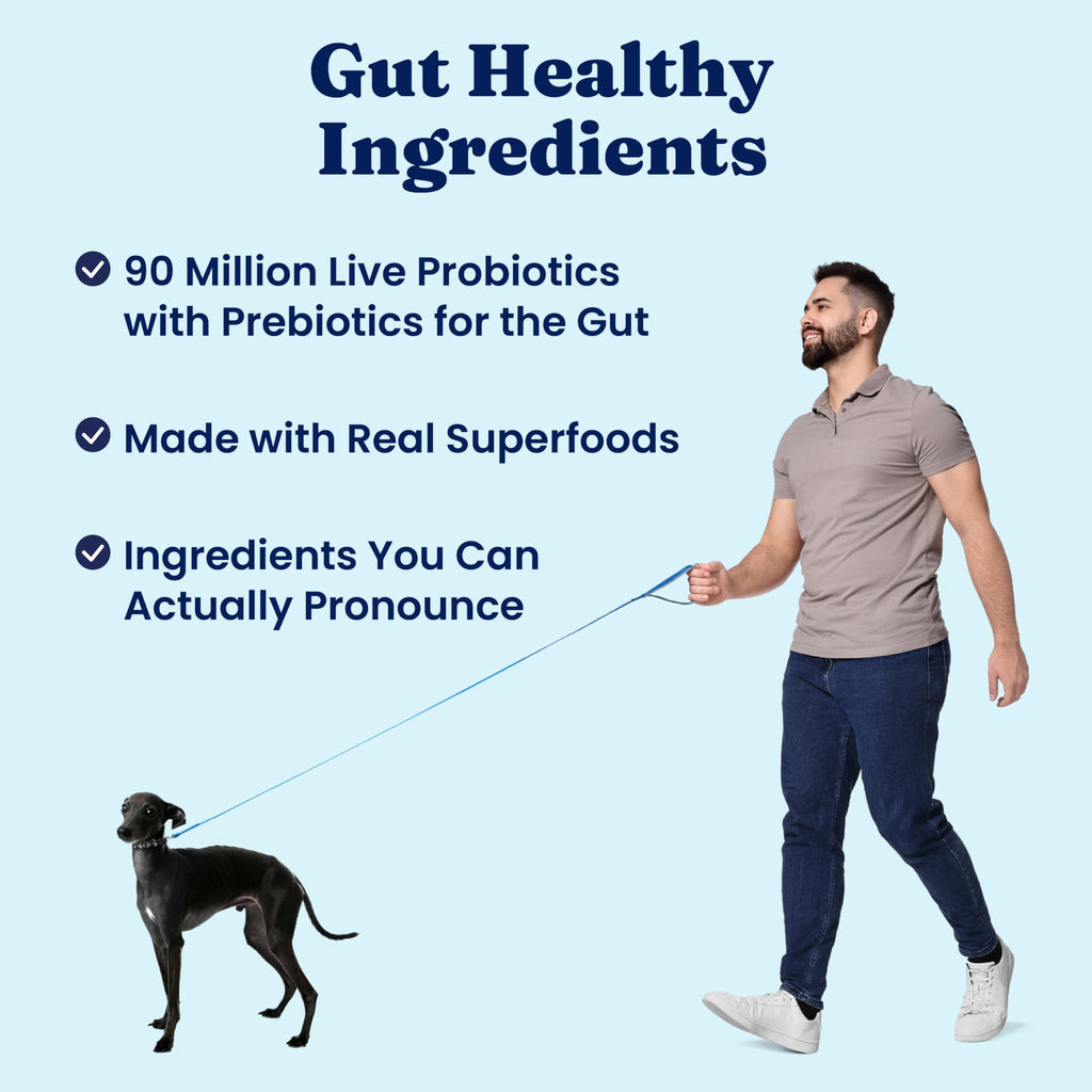 Solid Gold Toy & Small Breed Dry Dog Food Small Bites – Real Beef, Grain Free, Gluten Free, High Fiber Kibble with Probiotics for Gut Health & Digestion Support – Healthy Dog Food All Ages – 4LB