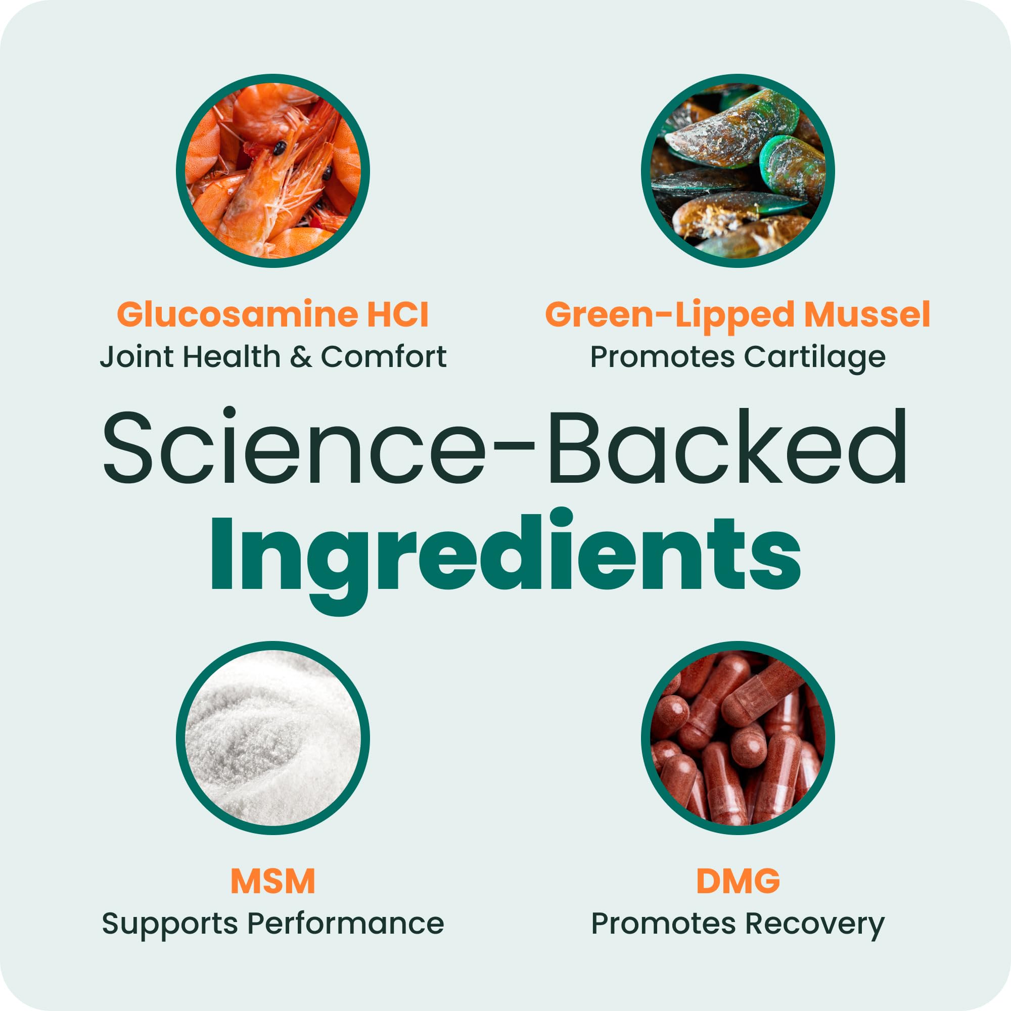 VetriScience Glycoflex 3 Vet Strength Glucosamine for Dogs Hip and Joint Supplement - Clinically Proven Mobility and Joint Supplement with MSM, DMG and Green Lipped Sea Mussel, Chicken, 60 Chews
