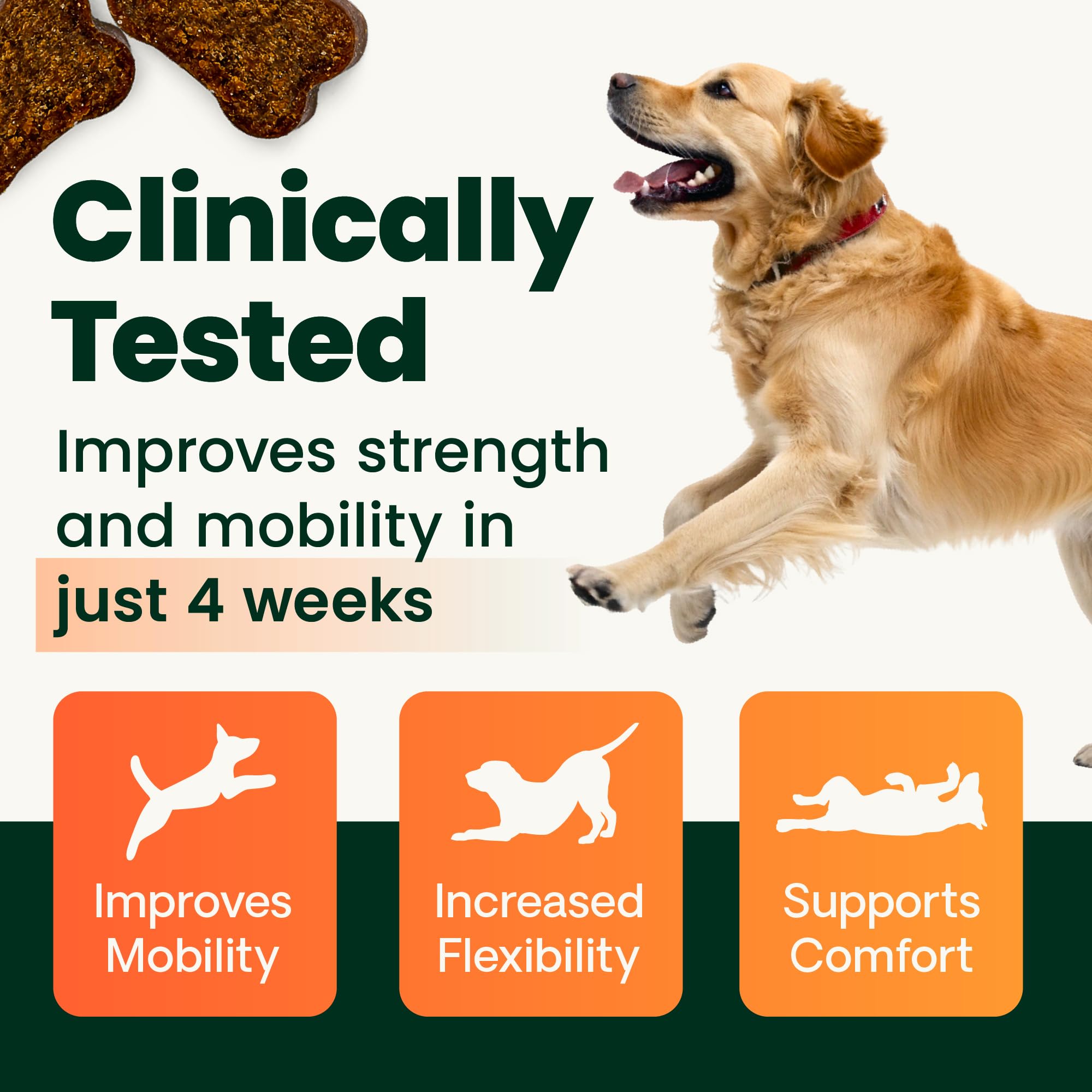 VetriScience Glycoflex 3 Vet Strength Glucosamine for Dogs Hip and Joint Supplement - Clinically Proven Mobility and Joint Supplement with MSM, DMG and Green Lipped Sea Mussel, Chicken, 60 Chews