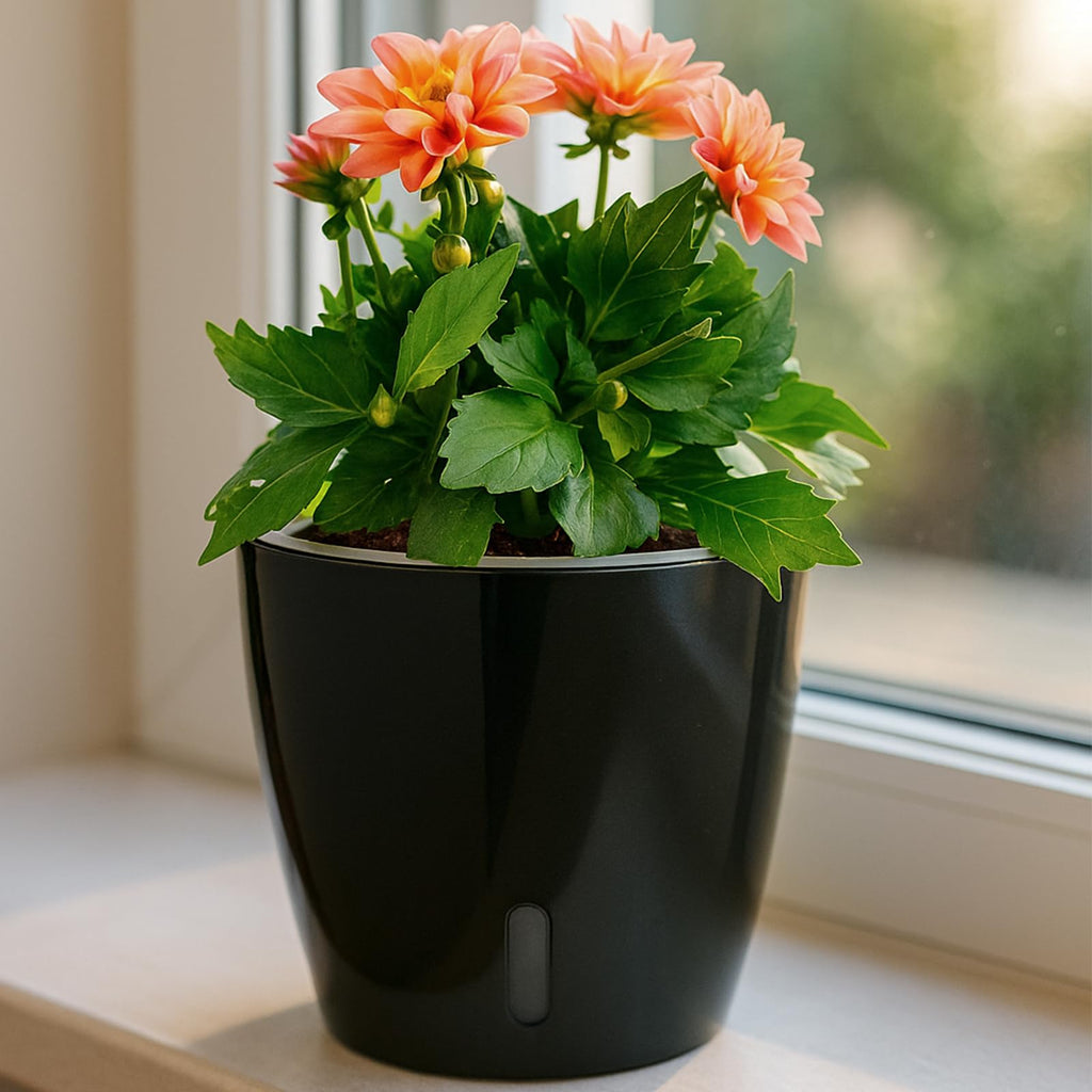 Self-Watering Pots for Indoor Plants, 16-Pack Self Watering Planter with Drainage Holes, Small African Violet Pots with Water Indicator, 10-Pack 5''/6-Pack 6.7'' Orchid Pot, Black