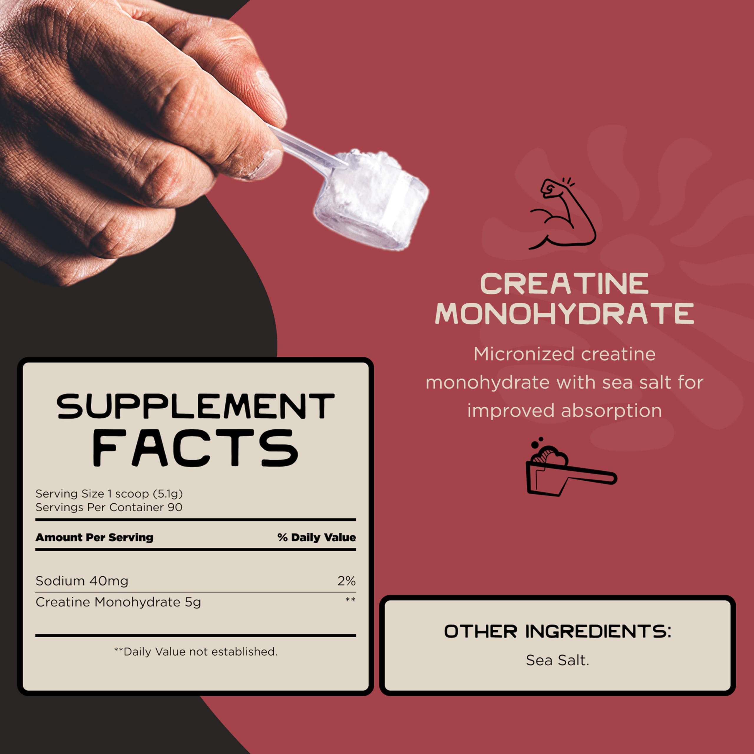 Lineage Provisions Micronized Creatine Monohydrate with Sea Salt - Micronized Creatine Powder for Training & Performance – No Artificial Ingredients – 90 Servings