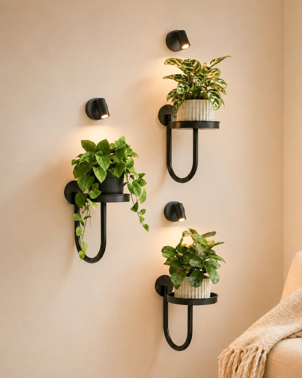 Bamworld Hanging Planters for Indoor Plants Wall Plant Holder Plant Hanger Indoor Wall Planters Window Plant Shelves Hanging Plant Holder Window Plant Hanger Plant Decor Black 3pcs