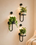 Bamworld Hanging Planters for Indoor Plants Wall Plant Holder Plant Hanger Indoor Wall Planters Window Plant Shelves Hanging Plant Holder Window Plant Hanger Plant Decor Black 3pcs