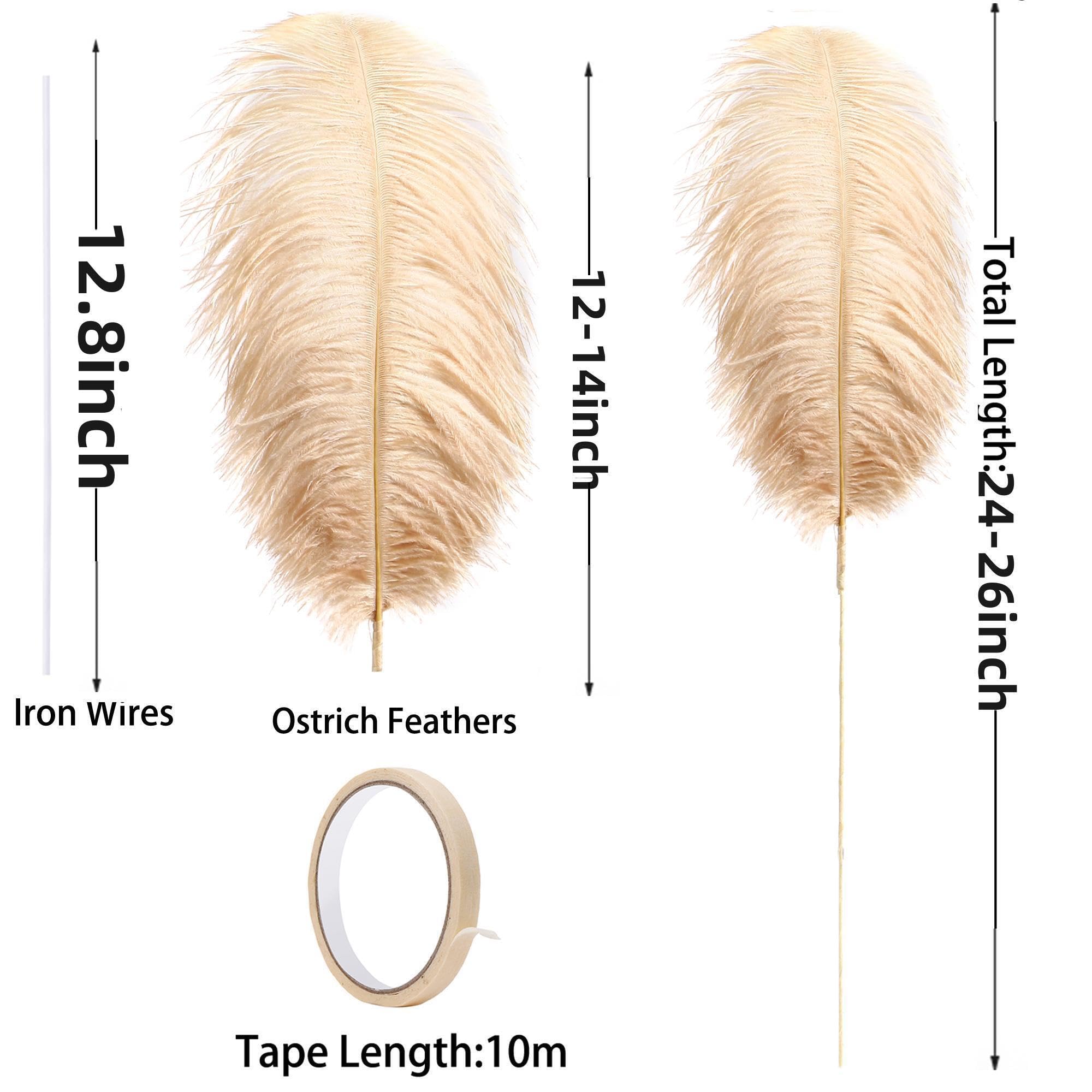 Ballinger Black Ostrich Feathers Bulk - Making Kit 12Pcs 16-18inch Large Ostrich Feathers for Floral Arrangement, Vase, Wedding Party Centerpieces and Halloween Home Decor