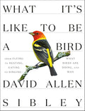 What It's Like to Be a Bird: From Flying to Nesting, Eating to Singing--What Birds Are Doing, and Why (Sibley Guides)