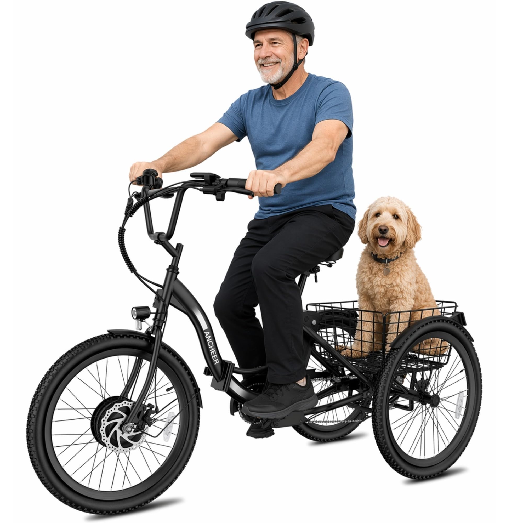 ANCHEER Electric Tricycle for Adults, Peak 600W Folding Electric Trike, 24" 499Wh Ebike for Seniors, 15.5MPH Electric Bike, Removable Battery, 3 Wheel, LCD, Rear Differential, Basket