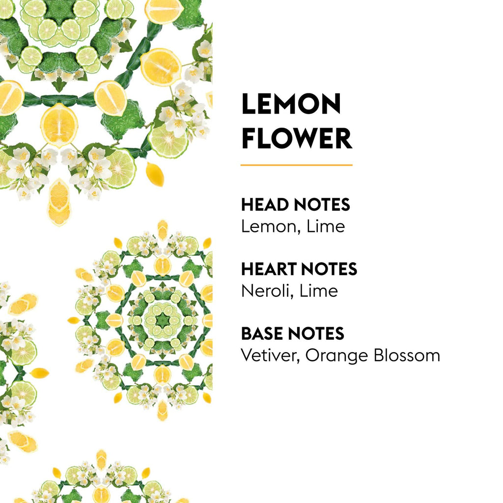 MAISON BERGER Lampe Berger Refill, 1 L, Agaves Garden | Catalytic Lamp Fragrance Refill, Helps Neutralize Odors, ~160 h Fragrance Diffusion, Made in France