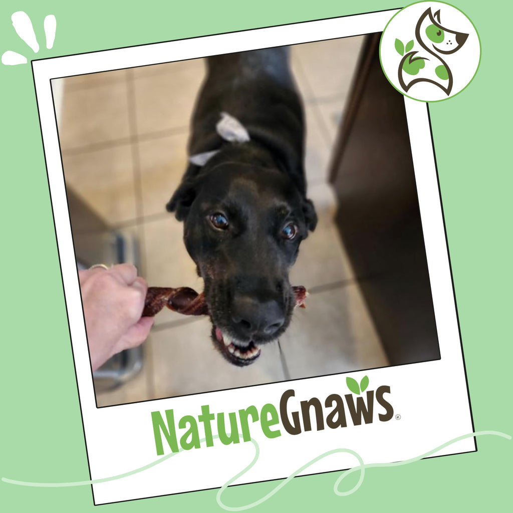 Nature Gnaws Beef Gullet Chews for Small Dogs 4-5" (20 Count) - Natural Beef Jerky Stick Dog Chew Treats - Rawhide Free