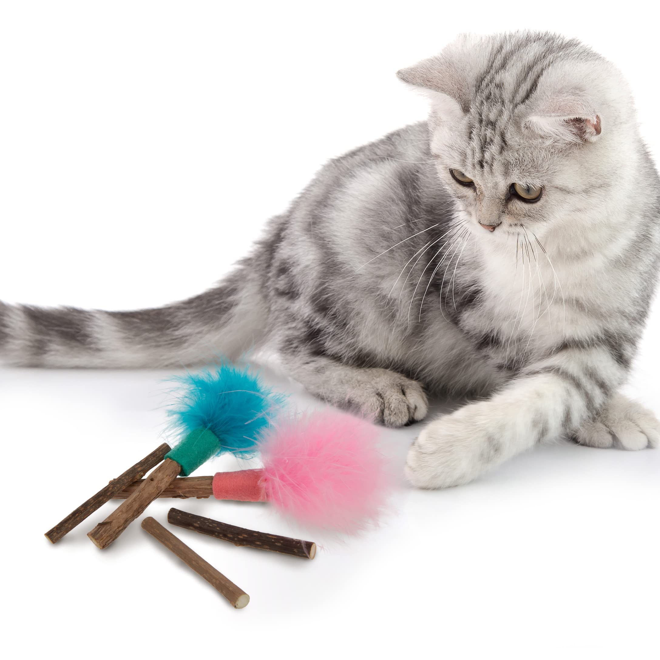 SmartyKat (2 Count) Silly Swimmers Crinkle Plush Catnip Cat Toys - Orange/Turquoise, 2 Count