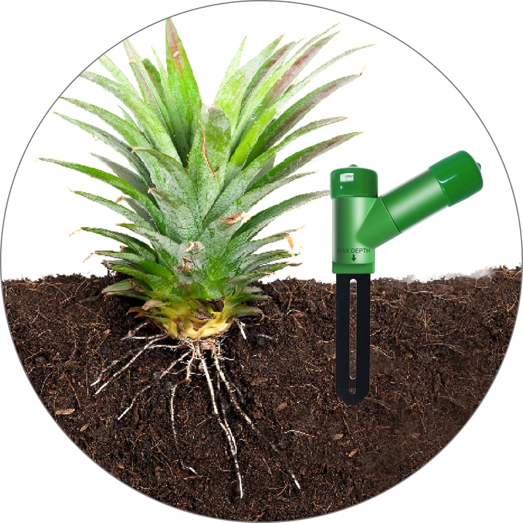 ECOWITT GW1206 Soil Moisture Tester Kit, Includes GW1200 IoT Wi-Fi Gateway and WH51 Soil Moisture Sensor, 915 MHz