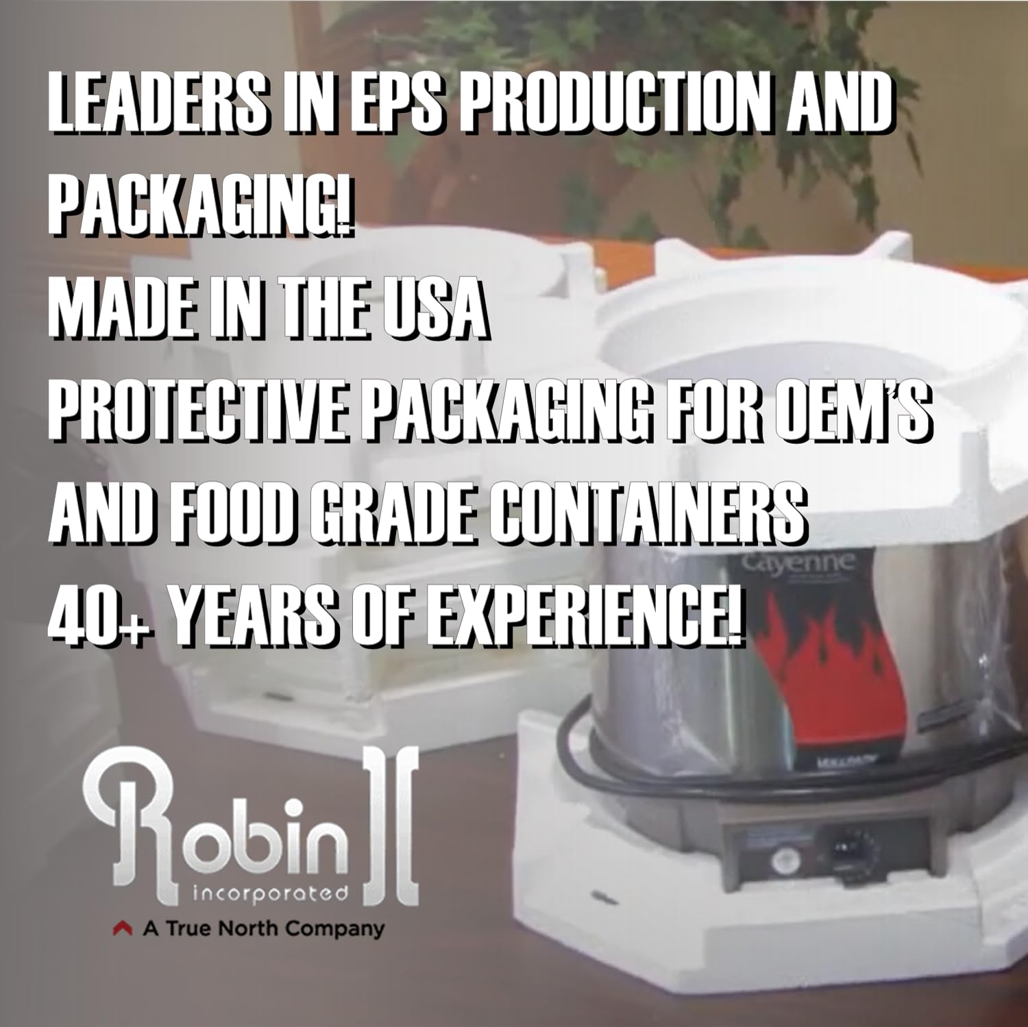 Robin II EPS Foam Cooler (Outside Dimensions: 15” x 13” x 10”) with Shipping Box - 3 Pack, Protective, Thermal, Insulated, Biodegradable, Recyclable, Shipping/Storage