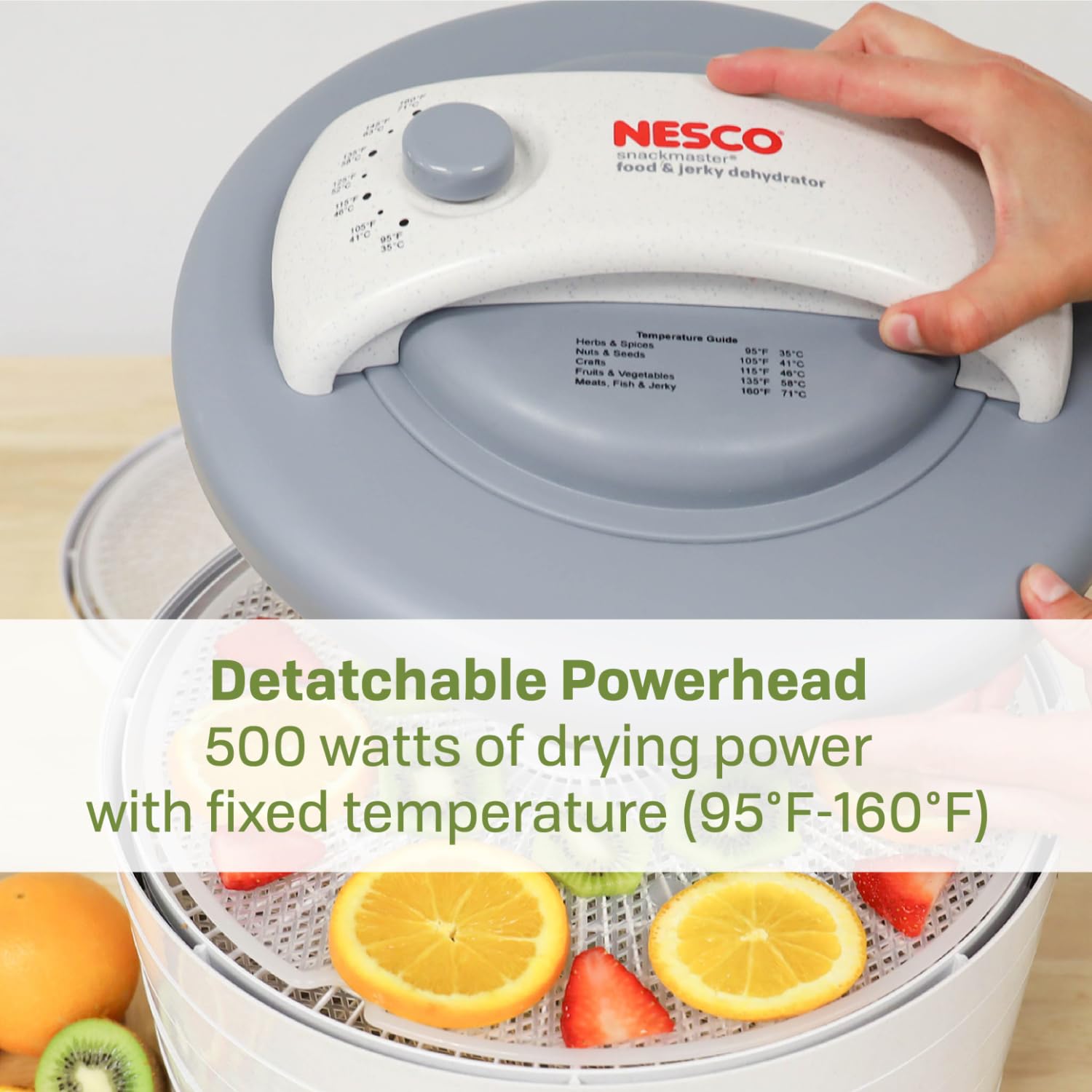 Nesco FD-61 Snackmaster Encore Food Dehydrator for Great Jerky and Snacks, 4 Trays, Gray