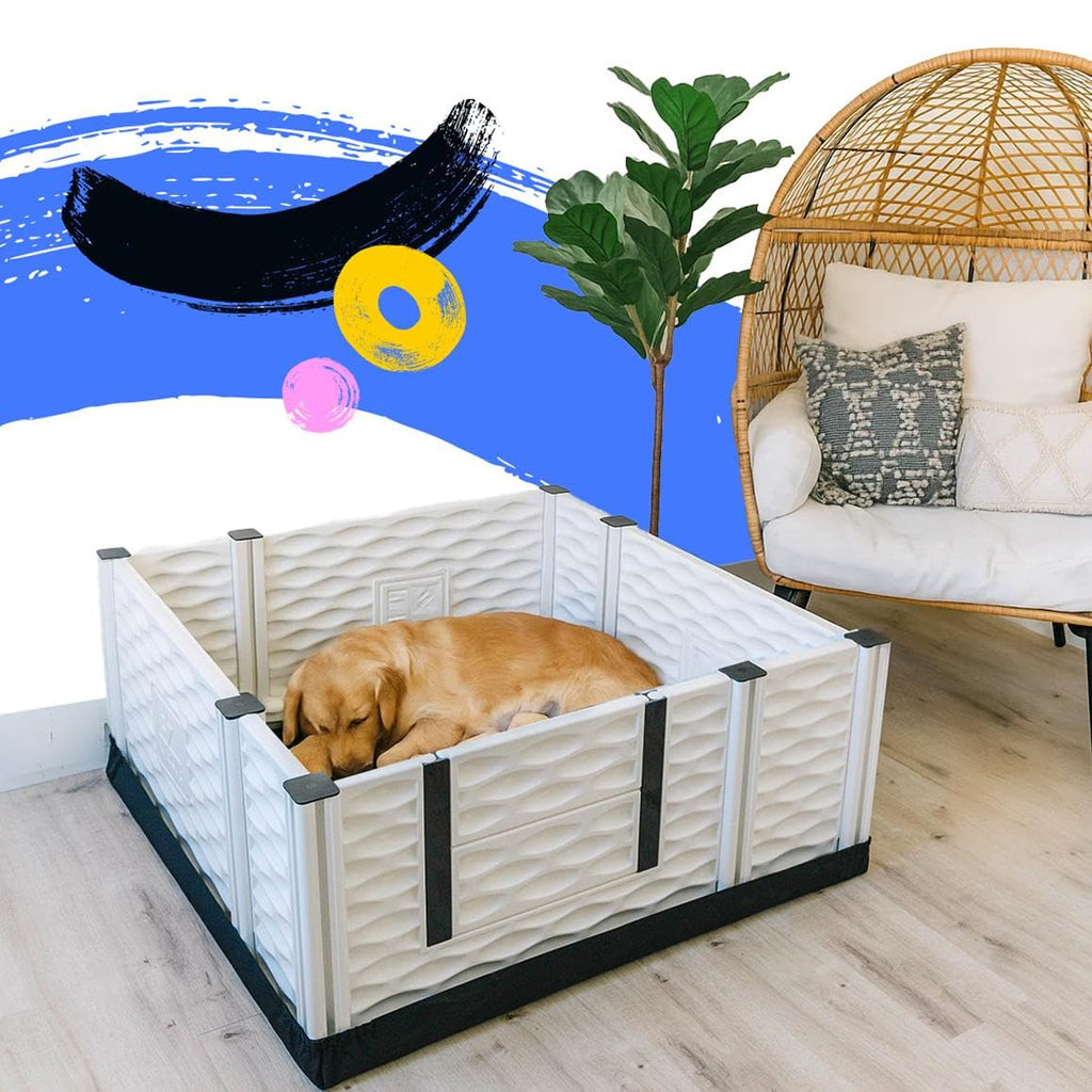 EZwhelp EZclassic Windowed 48"x48"x18" Whelping Box with Rails and Windowed Walls, Padded Dog Whelping Box, Black Pad