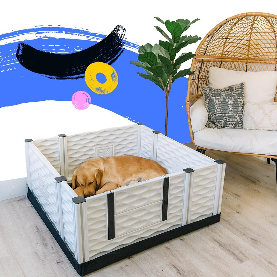 EZwhelp EZclassic Windowed 48"x48"x18" Whelping Box with Rails and Windowed Walls, Padded Dog Whelping Box, Black Pad
