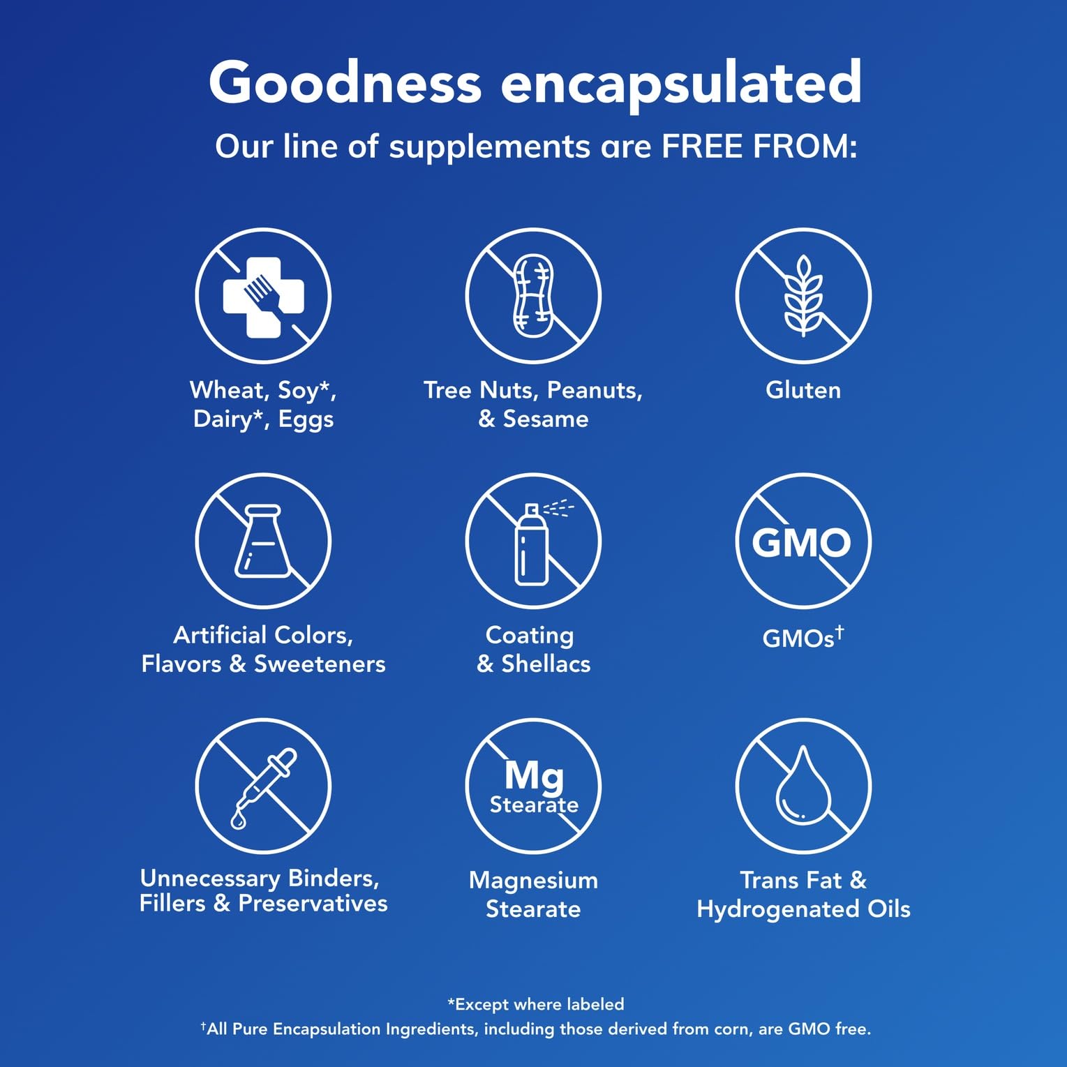 Pure Encapsulations B6 Complex - Supports Nervous System & Brain Health* - Includes B Vitamins - Contains Enriched Vitamin B6 - Non-GMO & Gluten Free - 60 Capsules