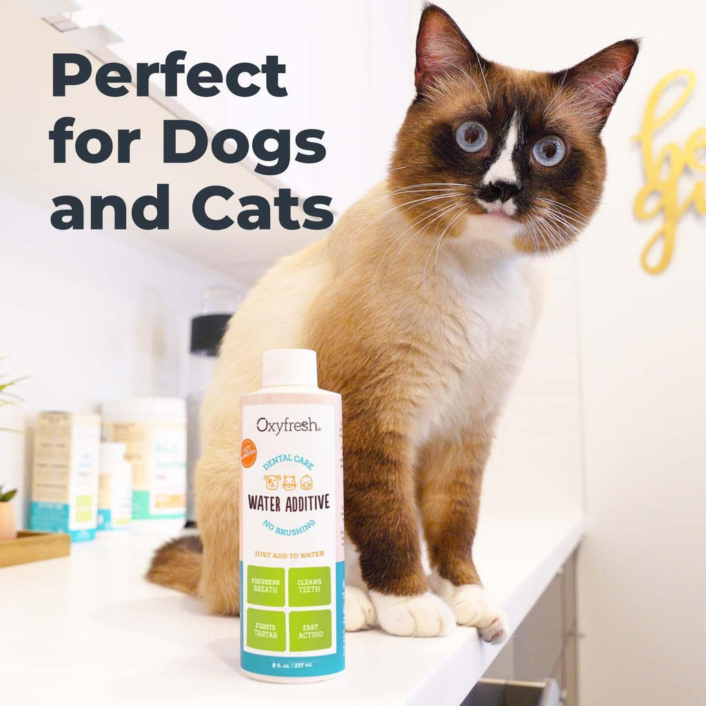 Oxyfresh Premium Pet Dental Care Solution Pet Water Additive: Best Way to Eliminate Bad Dog Breath and Cat Bad Breath - Fights Tartar & Plaque - So Easy, Just Add to Water! Vet Recommended 128 oz.