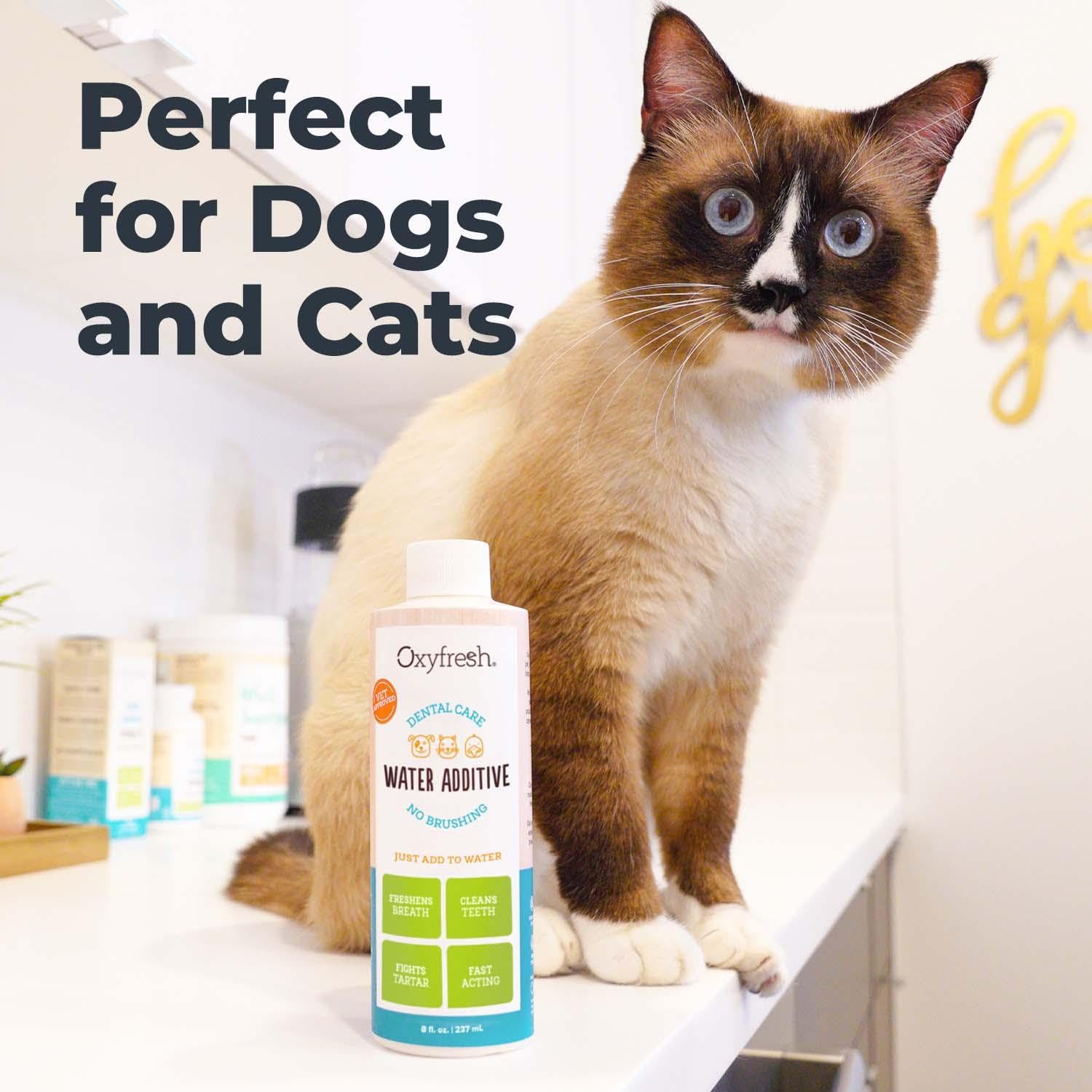 Oxyfresh Premium Pet Dental Care Solution Pet Water Additive: Best Way to Eliminate Bad Dog Breath and Cat Bad Breath - Fights Tartar & Plaque - So Easy, Just Add to Water! Vet Recommended 128 oz.