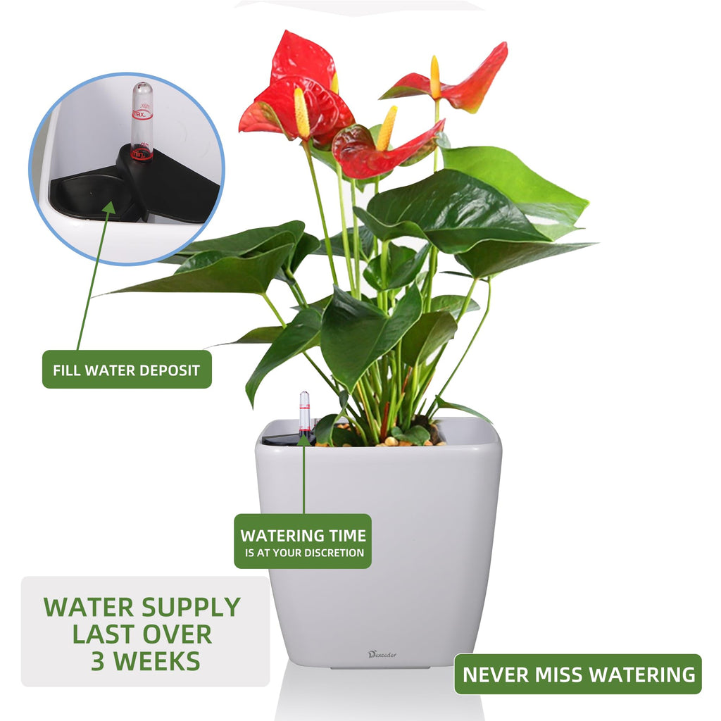Dexceder 9x8 Self Watering Planter (Black High Gloss) | Inner Mat Design, Thickened Table Flower Plant Pot with Water Level Indicator Indoor Outdoor