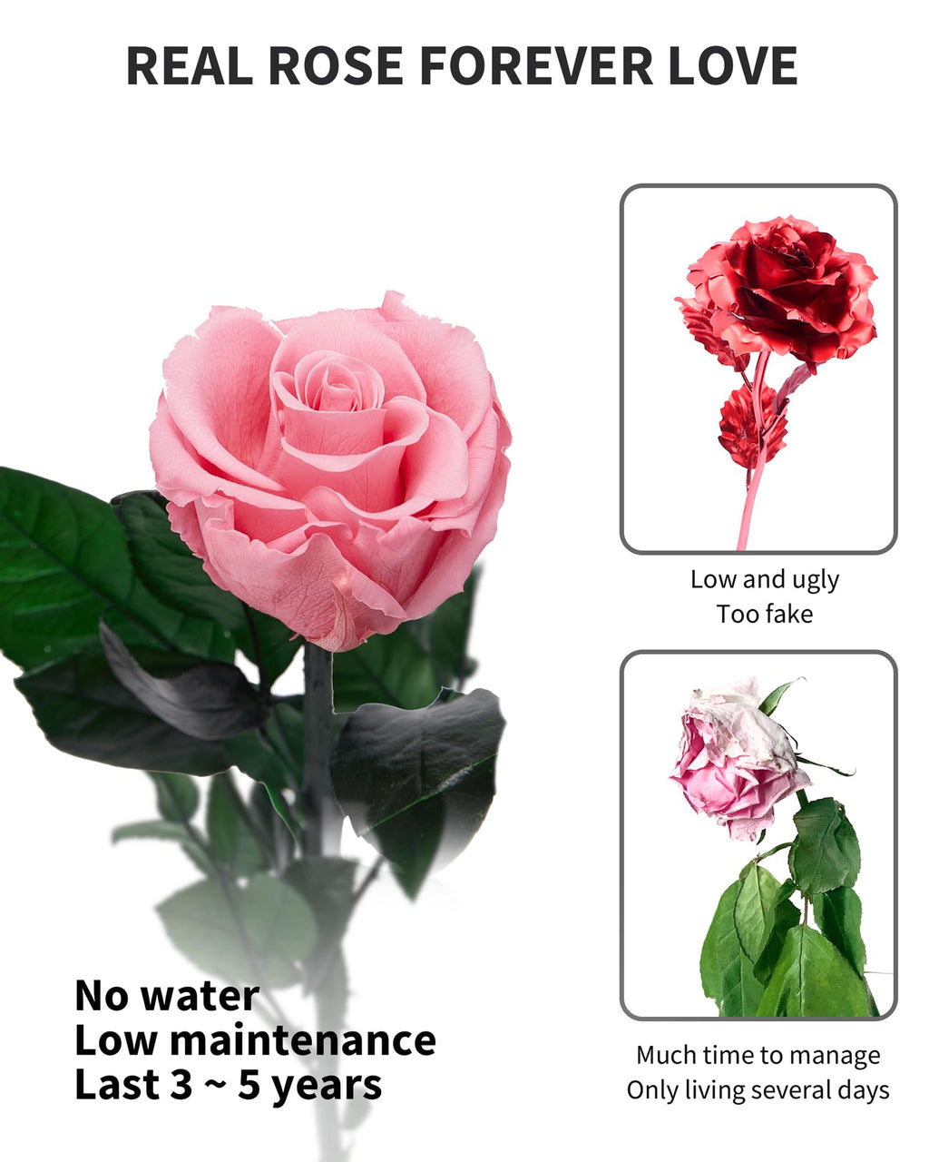 Flowers for Delivery Prime, Preserved Roses Flower Gifts for Women, Real Roses Single Rose Presents for Her, Mom Birthday Gifts from Daughter, Valentines Flowers Red Roses