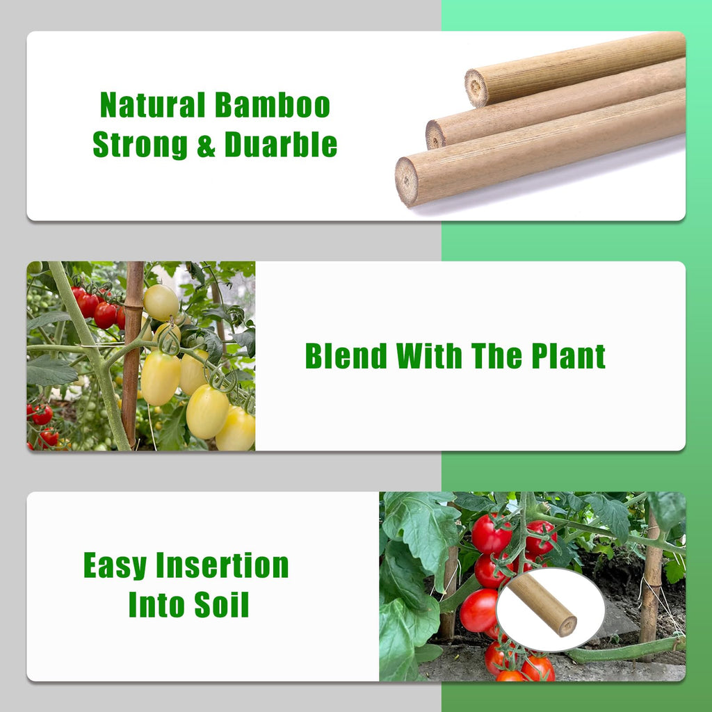 Plant Bamboo Post,3Feet,Bamboo Garden Stakes,50PcsBamboo Stakes,for Tomato,Beans,Vegetable and Flowers, Potted Plants,Indoor and Outdoor Climbing Plants