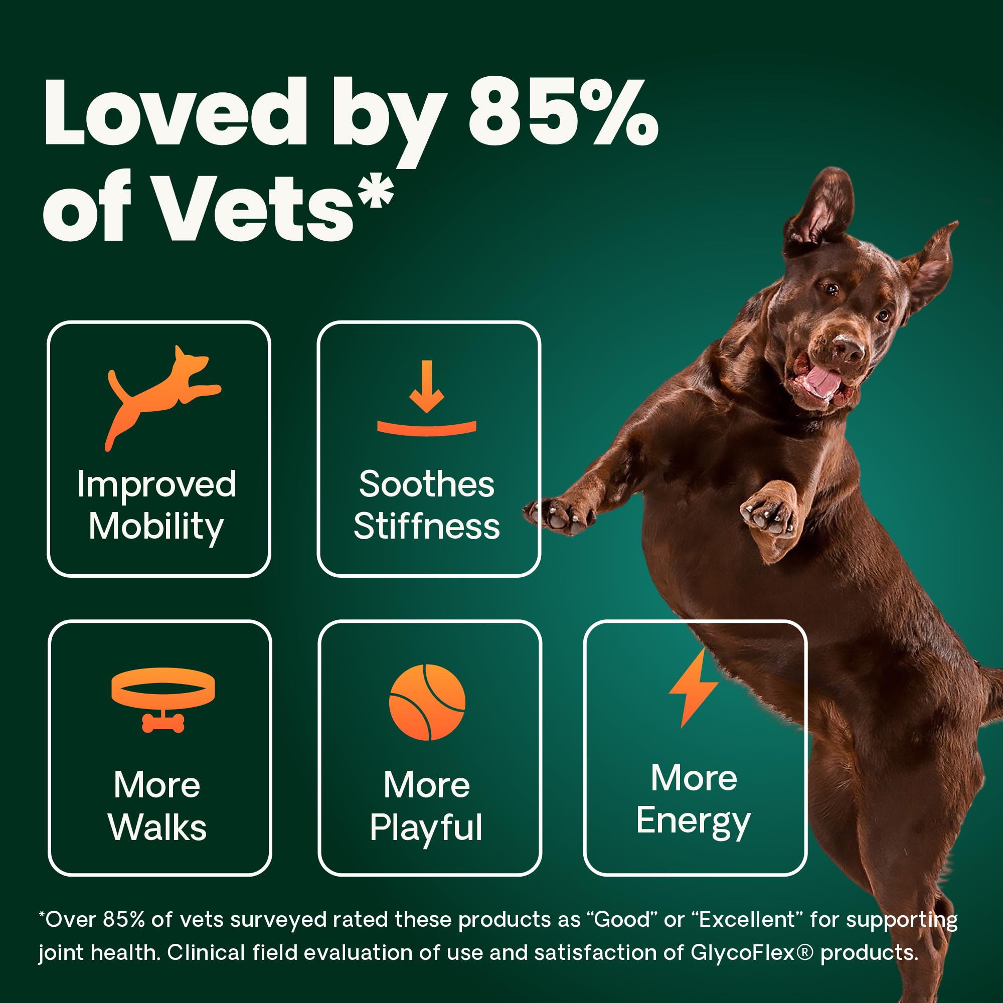 VetriScience Glycoflex 3 Vet Strength Glucosamine for Dogs Hip and Joint Supplement - Clinically Proven Mobility and Joint Supplement with MSM, DMG and Green Lipped Sea Mussel, Chicken, 60 Chews