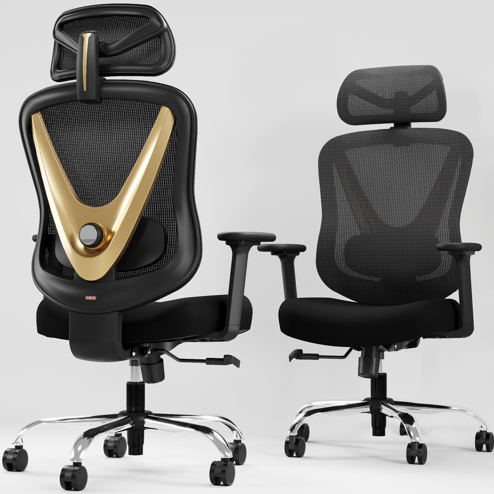 HOLLUDLE Ergonomic Mesh Office Chair - 3D Adjustable Lumbar Support & 3D Armrests, V-Shaped Back, Adjustable Desk Chair for Office & Home, Black