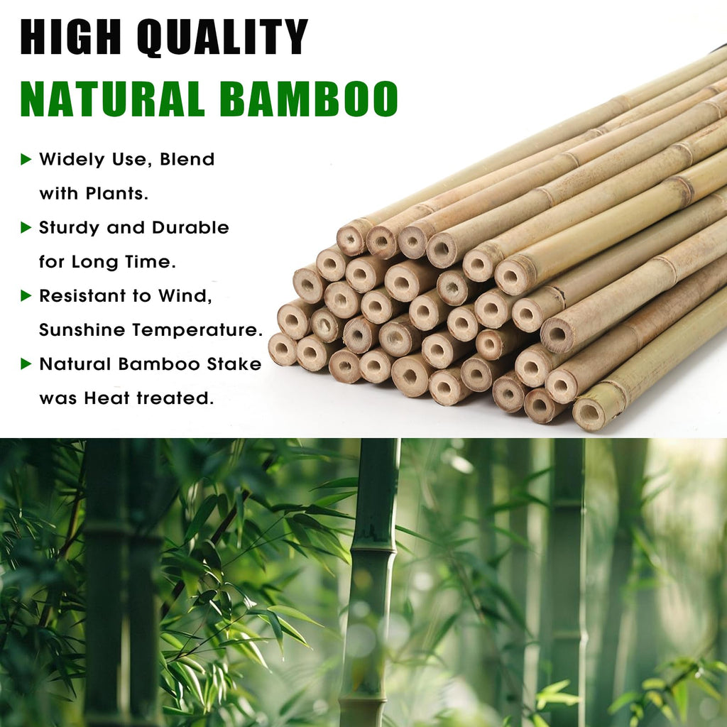 Plant Bamboo Post,3Feet,Bamboo Garden Stakes,50PcsBamboo Stakes,for Tomato,Beans,Vegetable and Flowers, Potted Plants,Indoor and Outdoor Climbing Plants