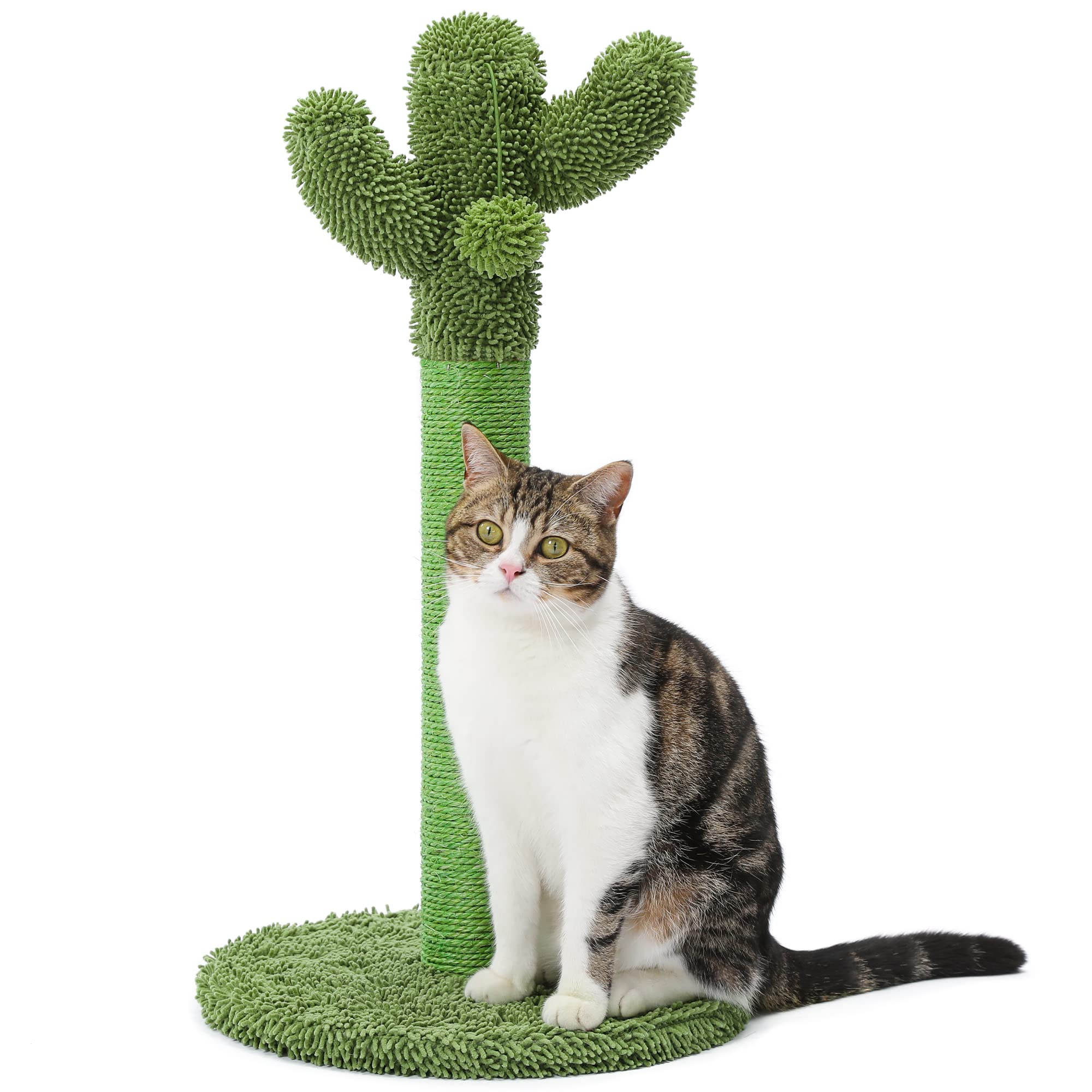 Made4Pets Cat Scratching Post, 21.7" Cactus Cat Scratcher Kitten Scratching Post with Natural Sisal Rope for Indoor Cats Claw Scratcher, Cat Tree with Dangling Balls for Small Kittens